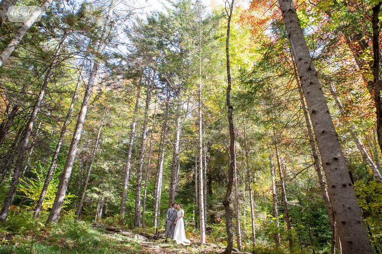 Bride and groom surrounded by tall trees with fall colors in Vermont.
