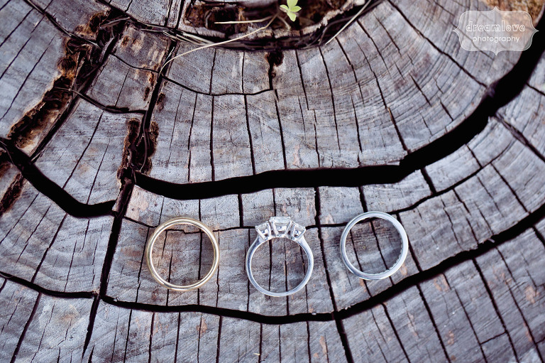 Unique wedding rings photo on tree stump at the Hildene in Manchester, VT.