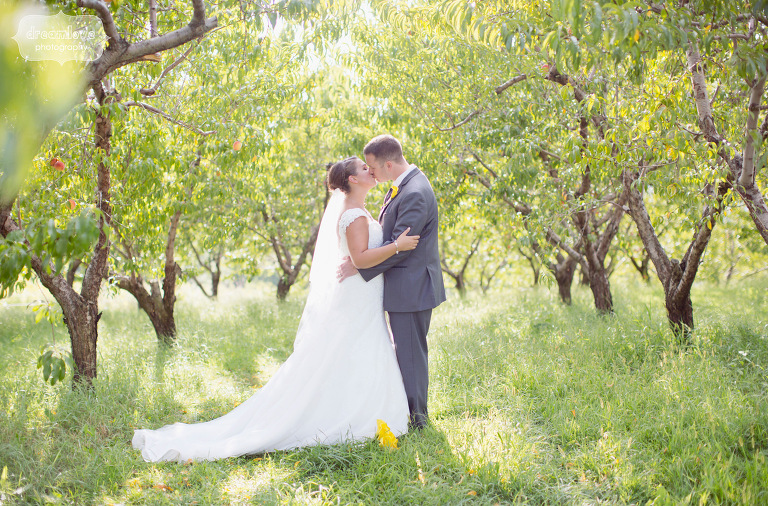 apple-orchard-wedding-nh-30