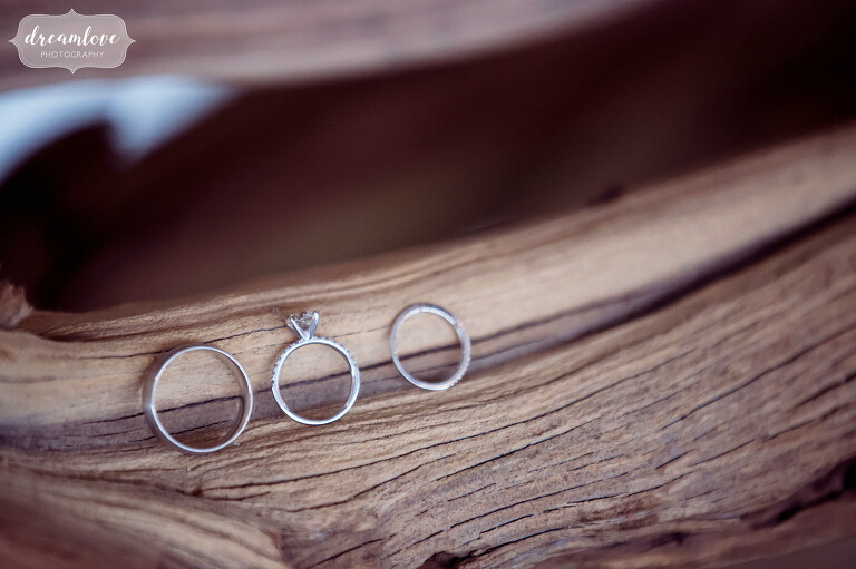 Coastal wedding with rings on driftwood photo.