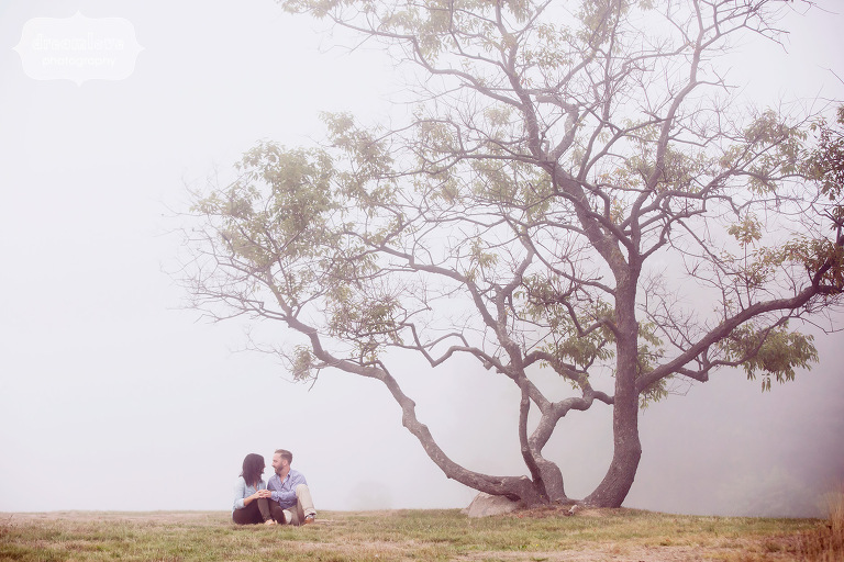 Ethereal engagement photo of couple under a coastal tree on the Great Lawn in MA.
