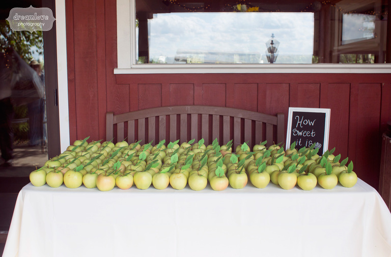 apple-orchard-wedding-nh-07