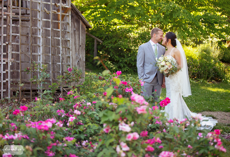 Bride and groom stand behind rose garden at intimate wedding venue the Berkshire Botanical Garden.