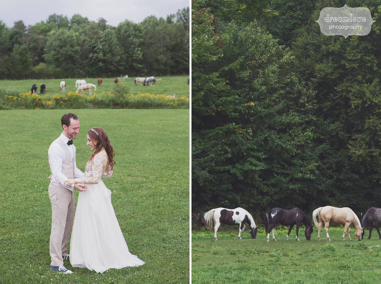 Bride and groom with the horses at the Topnotch Resort in Stowe, VT.