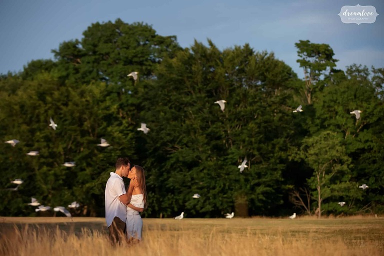 Seagulls fly around couple kissing during a Coolidge Reservation Engagement Photo session at sunset.