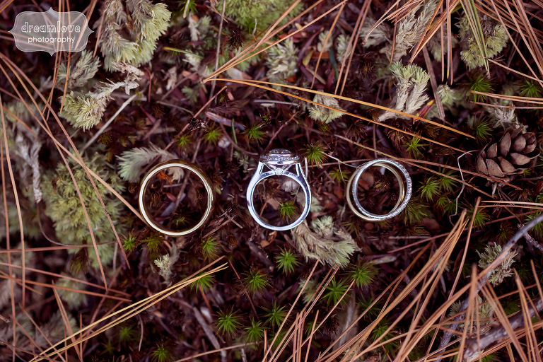 Wedding rings photo on pine needle forest floor at the Crystal Lake Pavilion in CT.