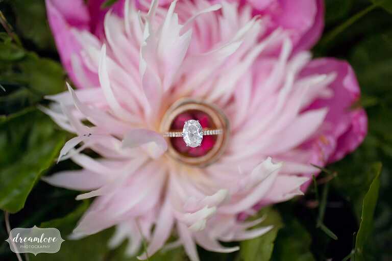 Bright pink peony with wedding engagement rings at Lyman Estate.