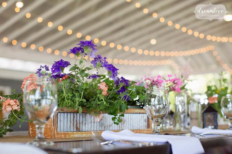 Galvanized flower planters as rustic wedding table decor at Warfield House Inn.