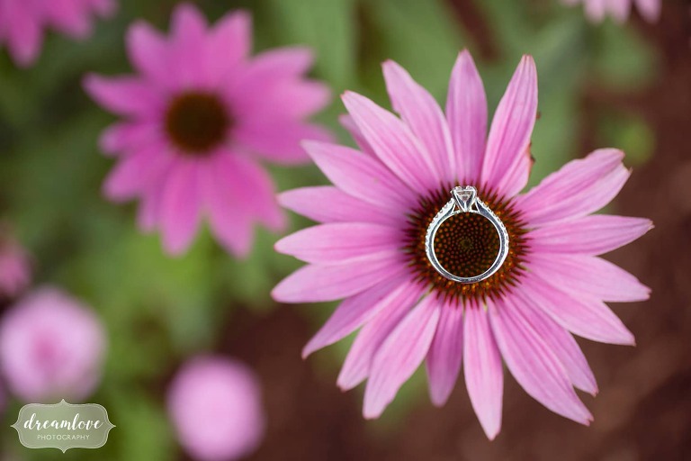 Artistic wedding photography of engagement ring on an echinacea flower at Bishop Farm.