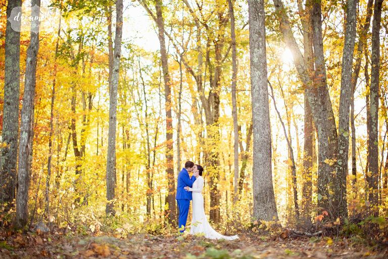 Bride and groom stand in the middle of yellow fall foliage woods at Zukas Barn.