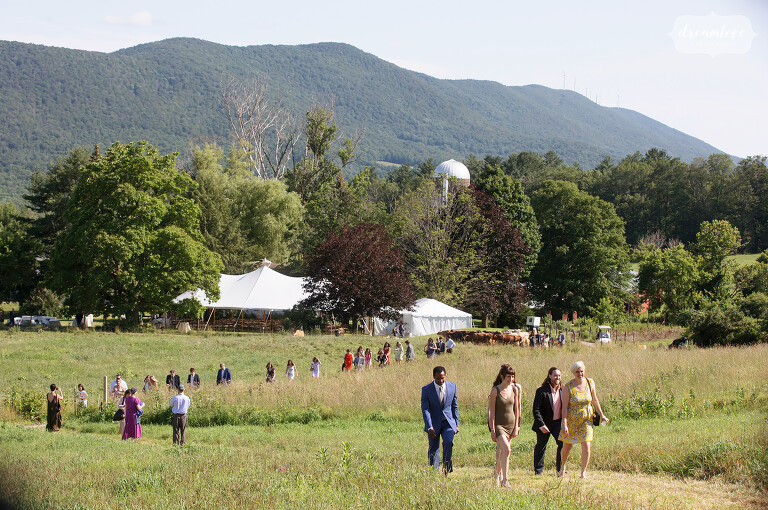 Wedding guests walk up a hill at the Cricket Creek Farm in Williamstown, MA.