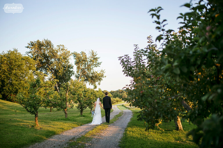 Bride and groom walk through orchard path at Connemara Farm at sunset.