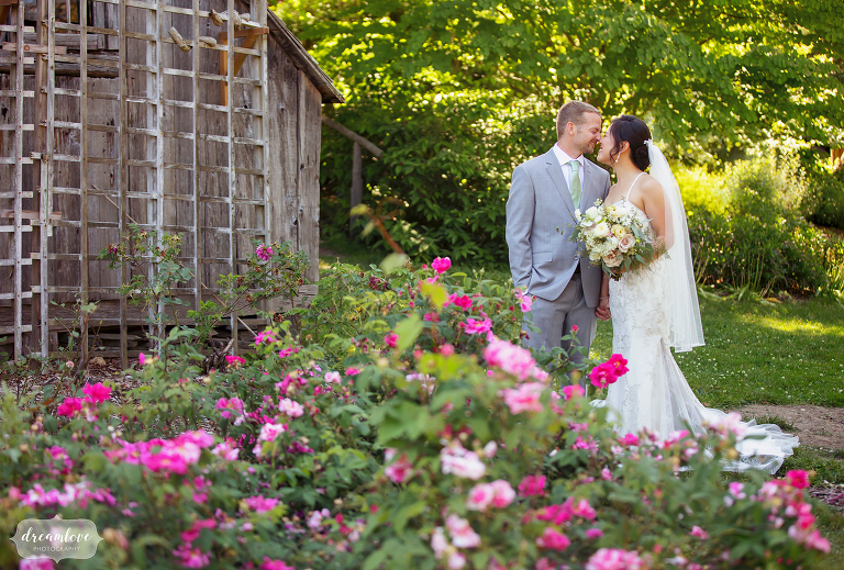Bride and groom kiss behind roses at Berkshire Botanical Garden venue.